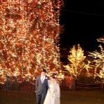 Portrait of the bride and groom near Palmer Square's Christmas lights in Princeton, photographed by Kyo Morishima.