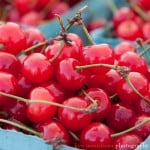 New Jersey sour cherries at Metuchen farmers market, photographed by Kyo Morishima.