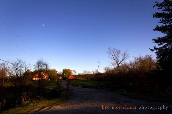 A view of Unionville Vineyards at dusk, photographed by Kyo Morishima