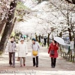 Japanese ladies under cherry blossom trees, photographed by Kyo Morishima