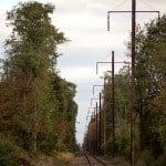 "train track" fall leaves sunset trees moody