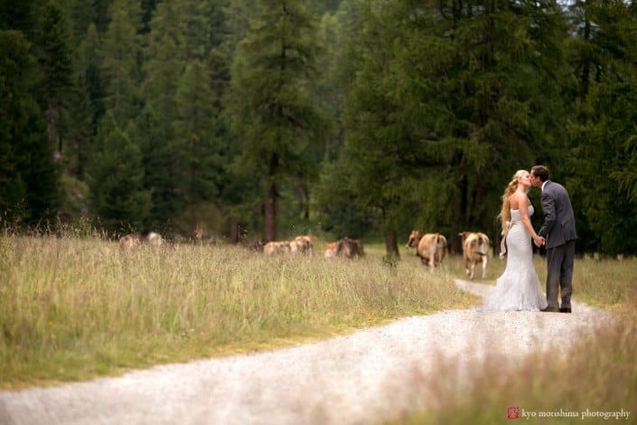 A bride and groom kiss on a farm in Switzerland, as cows look on, photographed by Kyo Morishima