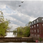 A view of the D&R Canal near Princeton, photographed by Kyo Morishima