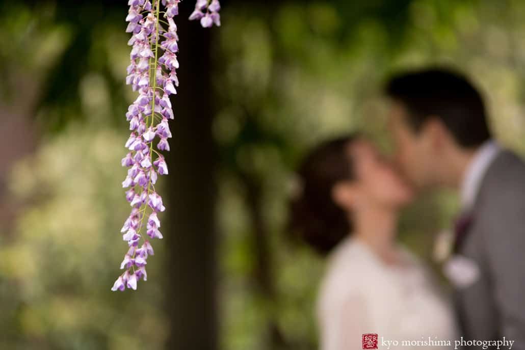 The wisteria in bloom at Van Vleck Gardens, photographed by Montclair wedding photographer Kyo Morishima