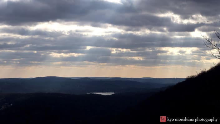 A View from the Michael Ciaiola Conservation Area, photographed by Kyo Morishima