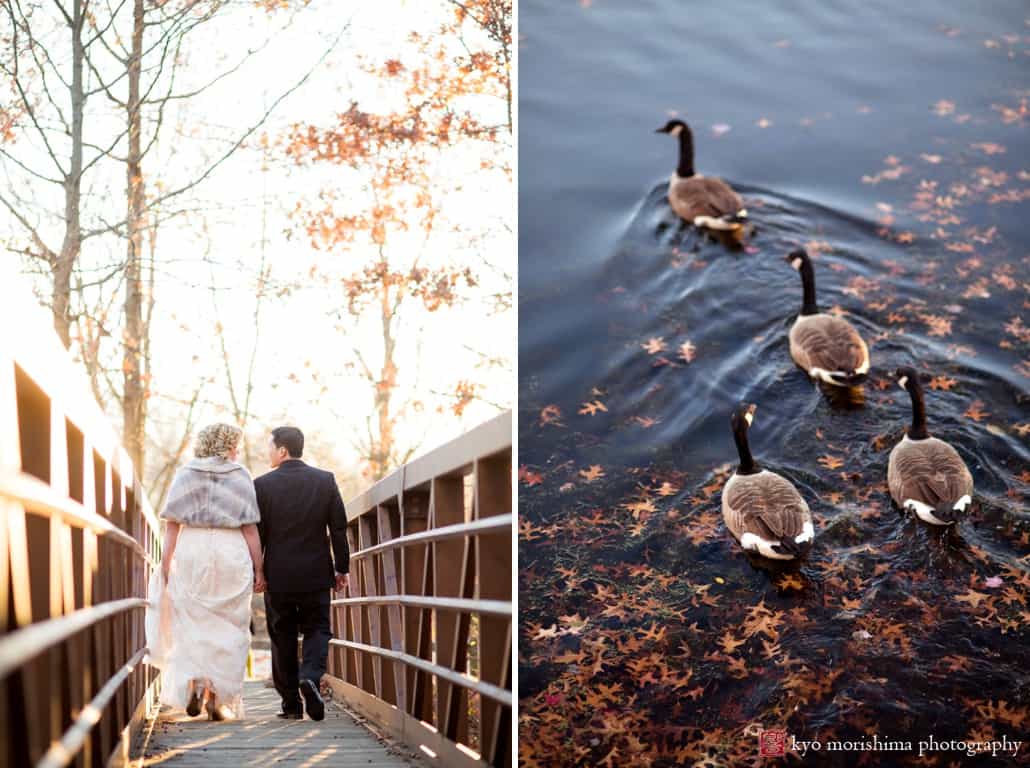 Fall wedding picture with ducks at New Jersey Audubon Plainsboro Preserve, photographed by Kyo Morishima