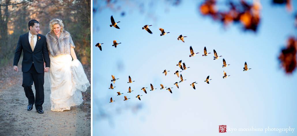 Fall wedding portrait with Canada geese at New Jersey Audubon Plainsboro Preserve, photographed by Kyo Morishima