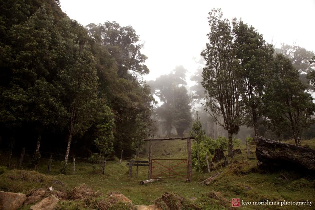 Mist rolling in over mountain gate near Heredia, Costa Rica, photographed by Kyo Morishima