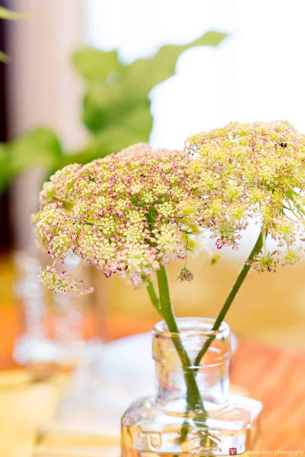 Detail of pale green and pink Queen Anne's Lace table decor styled by Kristin Rockhill of Details of I do, photographed by Kyo Morishima