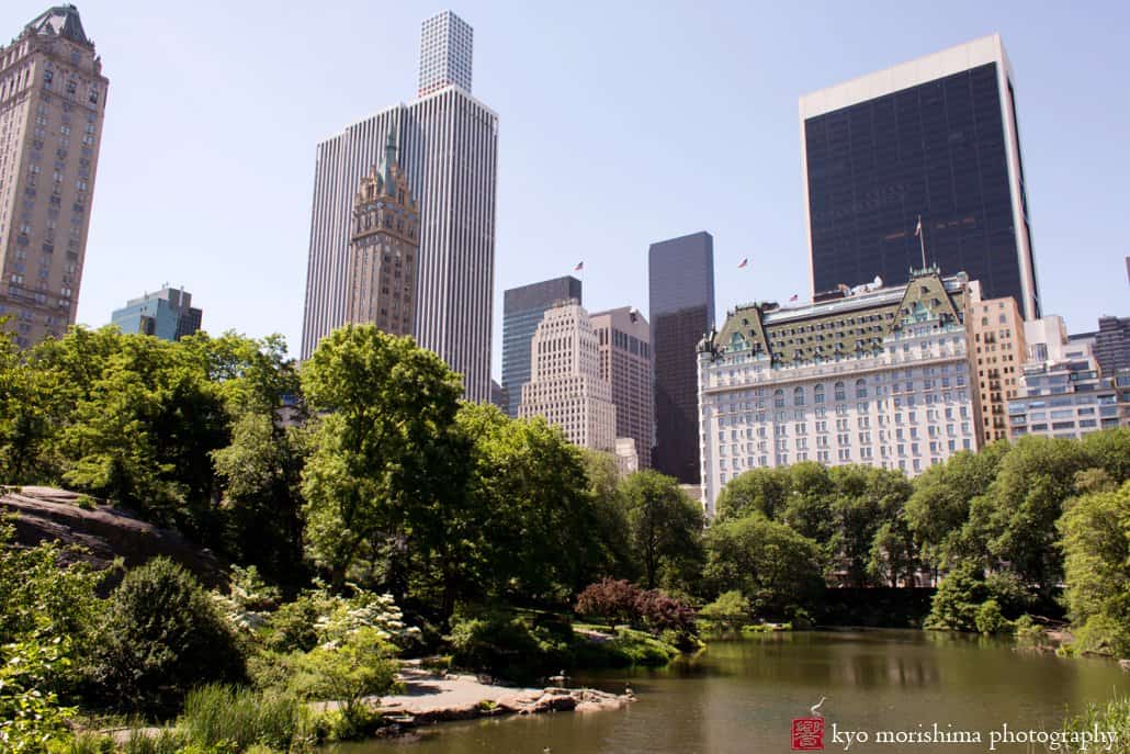 South Central Park on a clear summer day photographed by Kyo Morishima