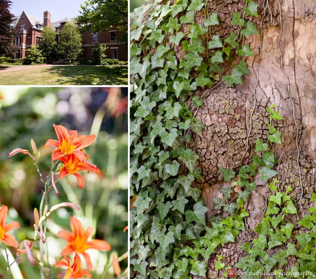 Orange daylilies and ivy covered tree trunk at the Princeton Cap and Gown Club photographed by Kyo Morishima