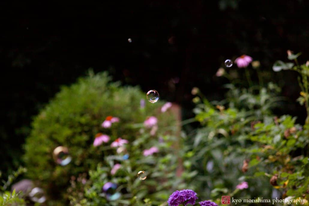 Bubbles float above flowers in the evening, photographed by Kyo Morishima