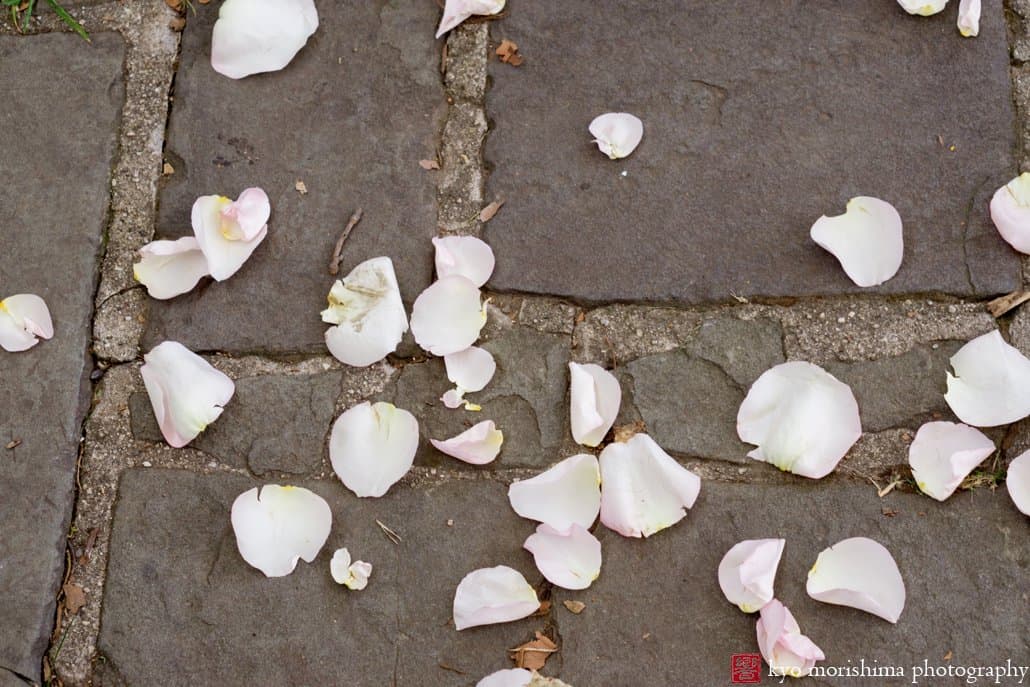 Flower petals on slate stones, photographed by Kyo Morishima