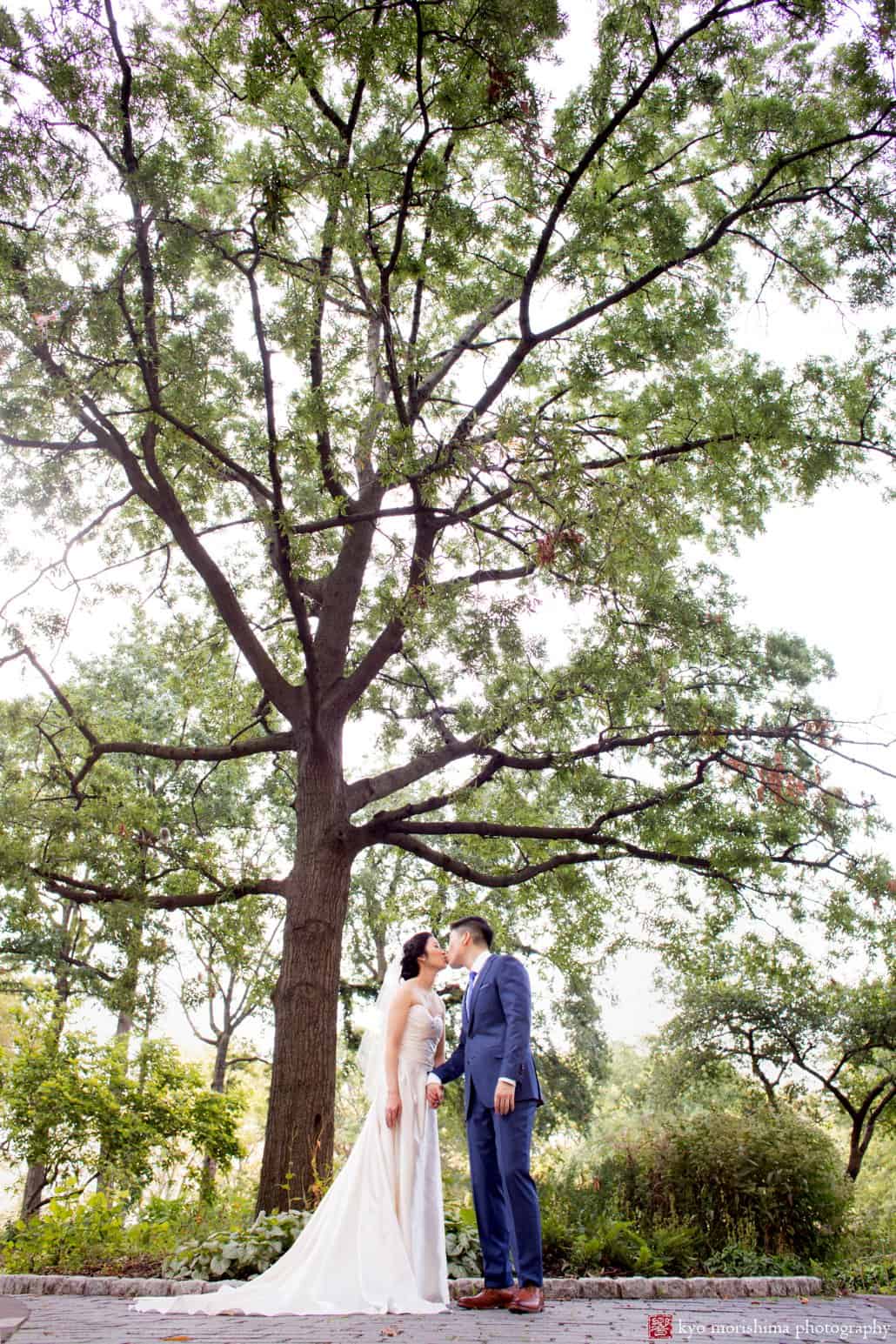 Bride and groom kiss under a large tree in a park on Wall Street, photographed by Kyo Morishima