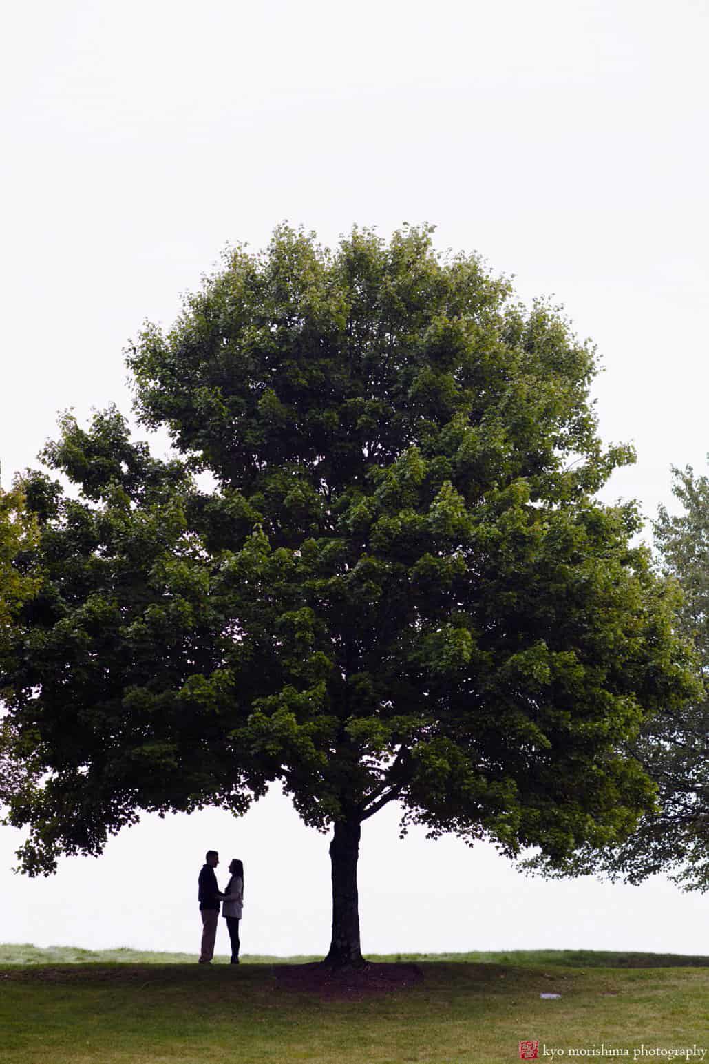 Jasna Polana Princeton engagement photos: couple stand under a tree on an overcast October day