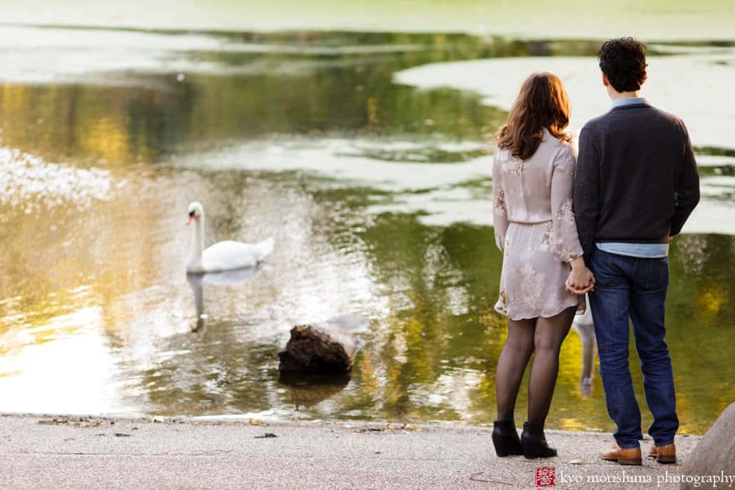 Engagement photo in Prospect Park: couple watches swans in the lake; photographed by Kyo Morishima