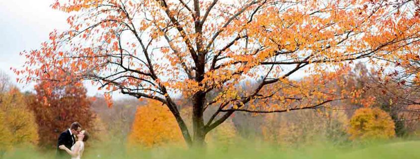 Fall wedding bride and groom portrait foliage at Jasna Polana, Princeton NJ