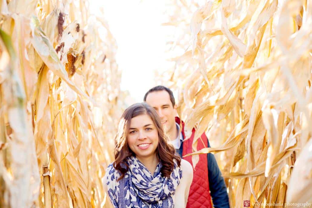 Farm engagement photo NJ: a couple walks down a cornfield path at Terhune Orchards in Princeton