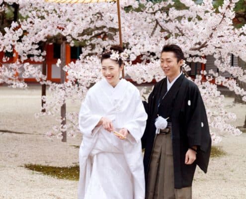 Bride smiles with guest under yellow paper umbrella on gravel path in front of blooming cherry blossom tree in Spring at destination wedding in Kyoto, Japan. Bride wears white kimono wedding dress and cherry blossoms in her hair.