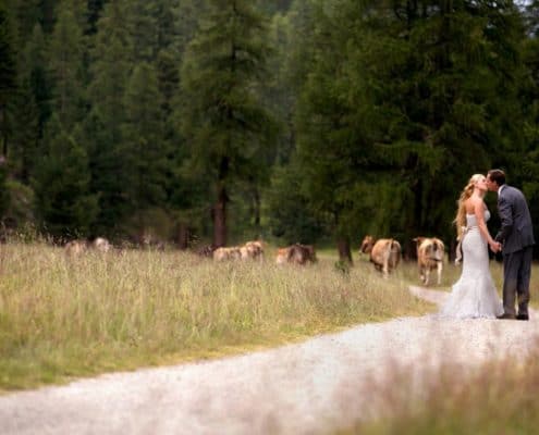 Bride and groom kiss on winding road in Swiss Alps for European destination wedding photography in Switzerland. Swiss dairy cows, grassy field and forest in background.