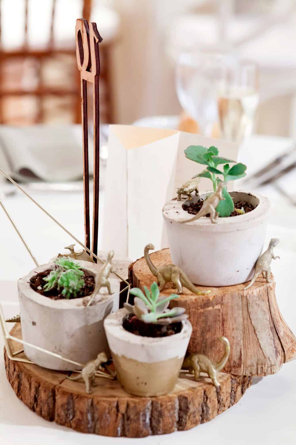 succulents in hypertufa pots on tierd wooden base with tiny dinosaurs wedding table centerpiece. DIY wedding flowers, Front and Palmer Philadelphia PA wedding photographer.