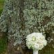 rose, peony and hydrangea wedding bouquet in front of moss covered tree at Jasna Polana wedding, Princeton, NJ. Janet Makrancy's weddings and parties. NJ wedding photographer.