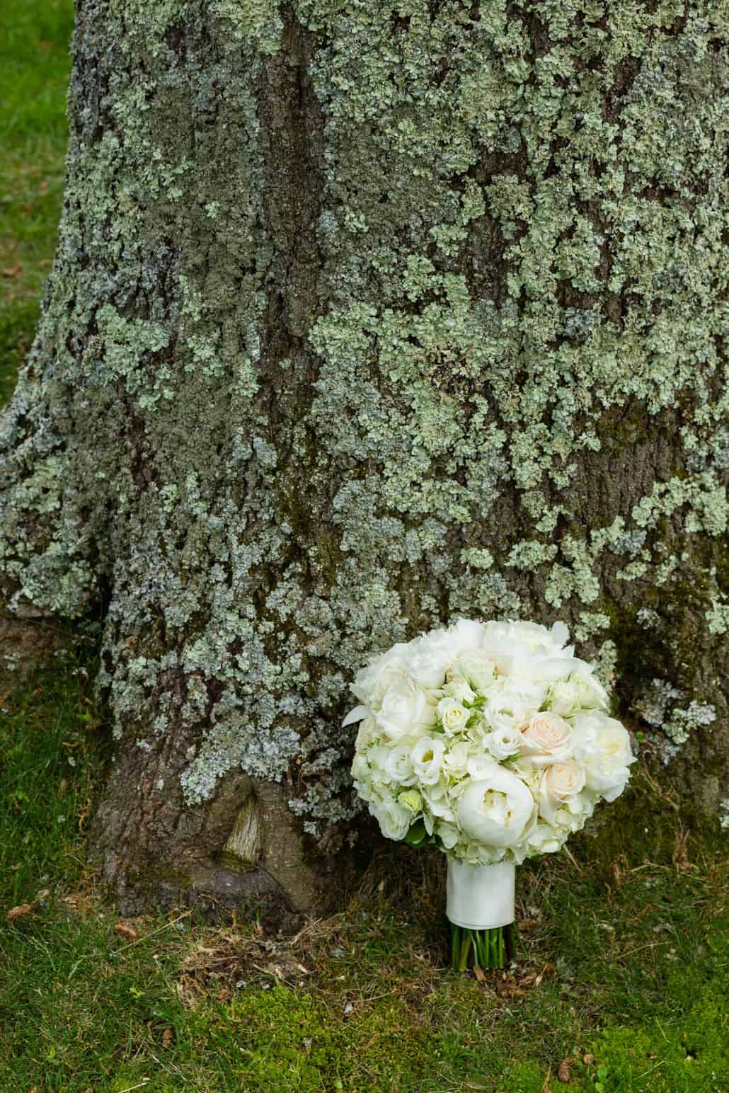 rose, peony and hydrangea wedding bouquet in front of moss covered tree at Jasna Polana wedding, Princeton, NJ. Janet Makrancy's weddings and parties. NJ wedding photographer.