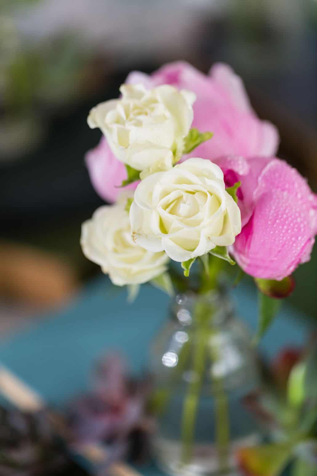 close up of pink and white rose in bud vase at Chauncey Center wedding in Princeton, NJ. Kristin Rockhill florist, New Jersey wedding photographer.