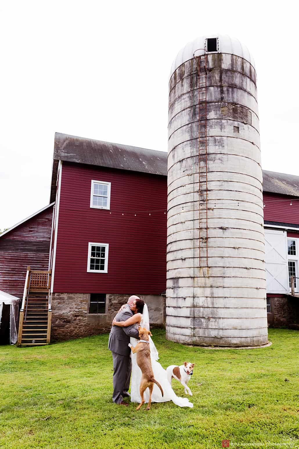 Wedding portrait at one of the best NJ barn wedding venues, Glenmoore Farm in Hopewell Princeton (mercer county) Glenmoore Farm, Emily’s Pennington, Adam Oded, A-1 Limo, Mary Bradley Events, Grevillea Weddings and Events, Kyo Morishima Photography, Princeton NJ dogs portrait