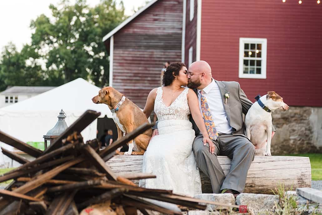 Bride and groom kiss with their dogs at their sides at Glenmoore Farm, a rustic wedding venue in central NJ Emily’s Pennington, Adam Oded, A-1 Limo, Mary Bradley Events, Grevillea Weddings and Events, Kyo Morishima Photography, Princeton