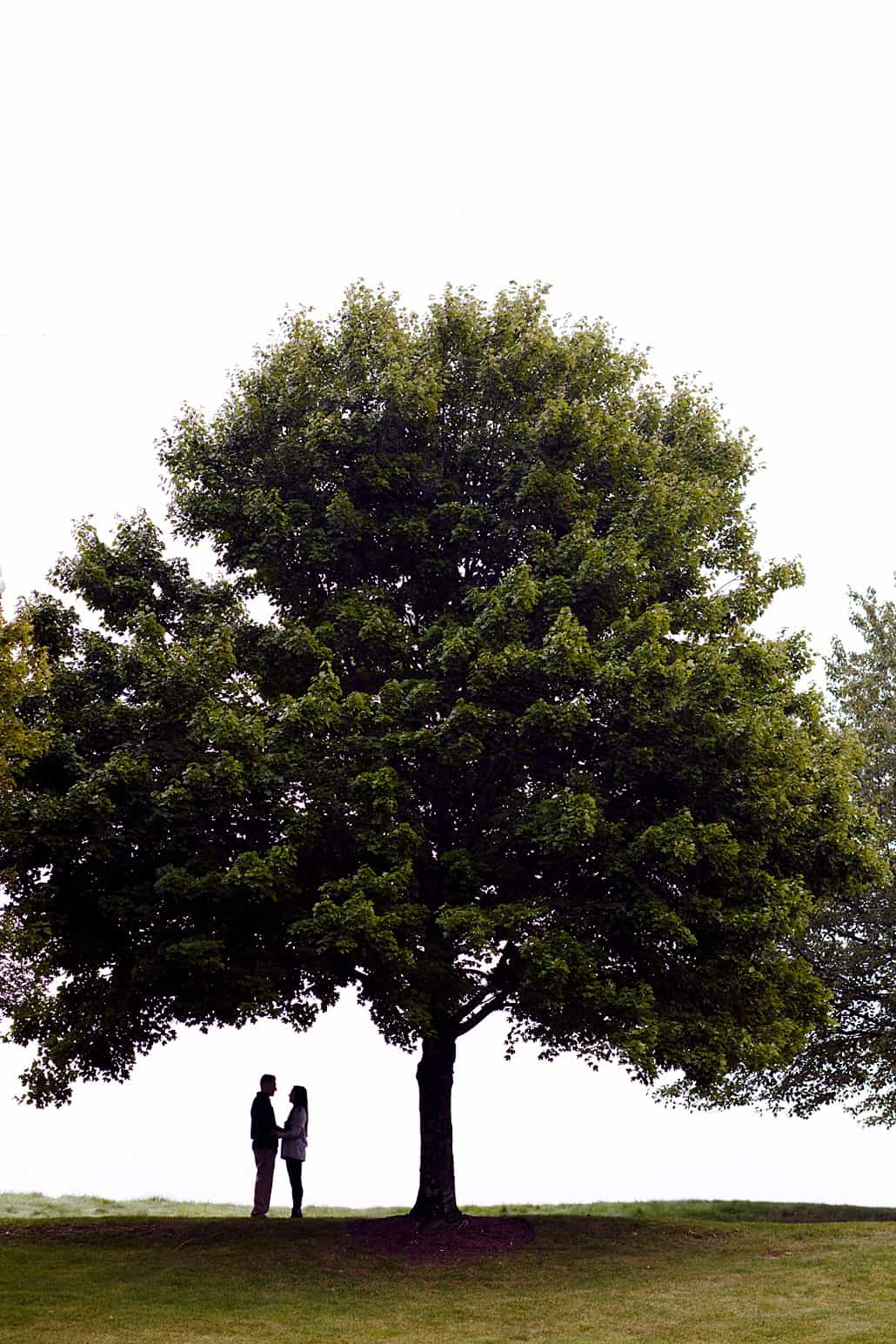 Outdoor engagement photo with silhouette of couple standing under a tree. Photographed at TPC Jasna Polana, silhouette Princeton, NJ. family couple kids child children dog pets portrait, NYC, Brooklyn, DE, Philadelphia, Philly, personal branding photography