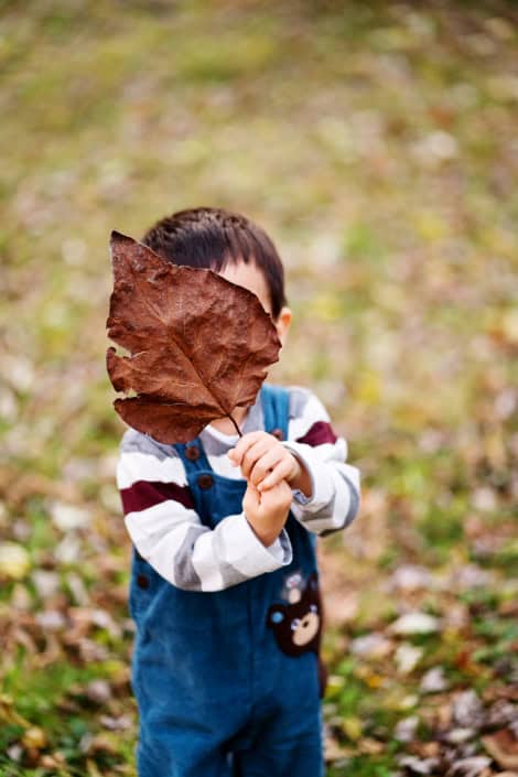 a boy covering his face with a big leaf Princeton family portrait photo