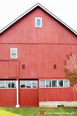 The Manor House Prophecy Creek PA wedding farm red barn