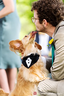 The Manor House Prophecy Creek PA wedding dog licks groomsmen bridal party