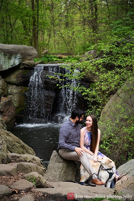 Central Park, Manhattan Bride, NYC, engagement portrait, spring, water fall, dog, woods