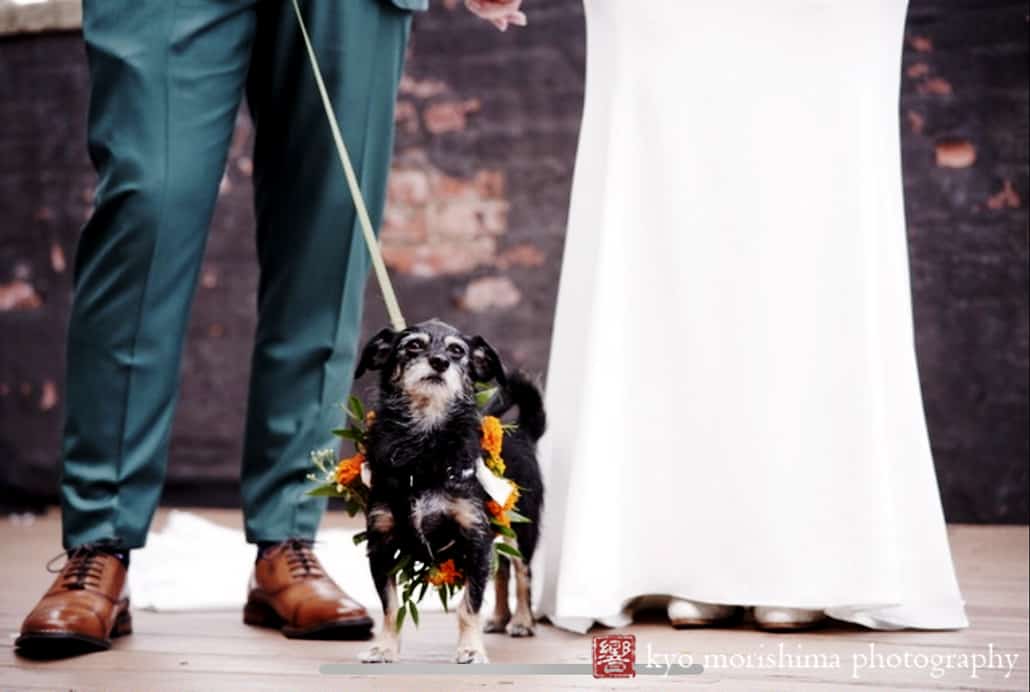 Greenpoint Loft Brooklyn, NYC, Events by Sheavonne, Kleinfeld’s, Essence of Austrailia, summer wedding, Kyo Morishima Photography, dog, pet, outdoor portrait, bride and groom