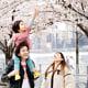 Cherry blossom Hunter's Point South Park Long Island city NYC Spring boy family portrait son Manhattan Brooklyn Empire State Building on shoulder 肩車　ニューヨーク　家族　写真　ポートレート　アメリカ　桜