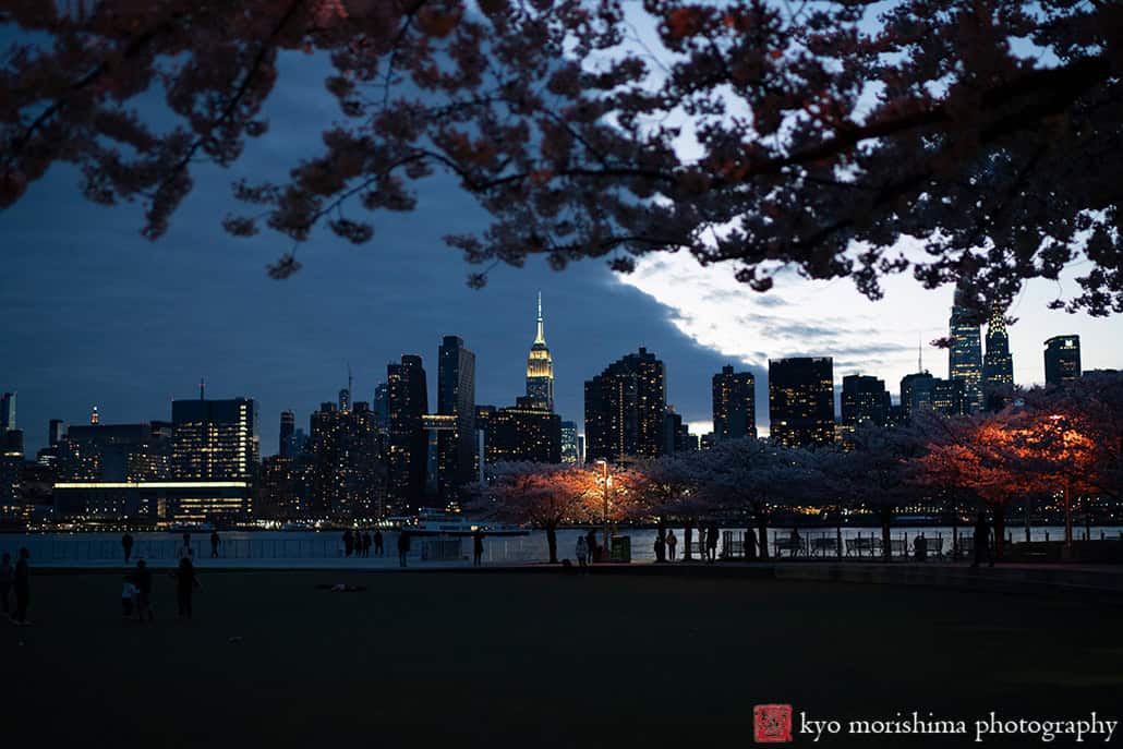 Cherry blossom Hunter's Point South Park Long Island city NYC Spring boy Brooklyn family portrait son Manhattan Brooklyn Empire State Building scooter night　ニューヨーク　家族　写真　ポートレート　アメリカ　桜