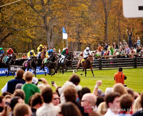 Corporate Event Far Hills Race Meeting NJ luncheon Horses In Action