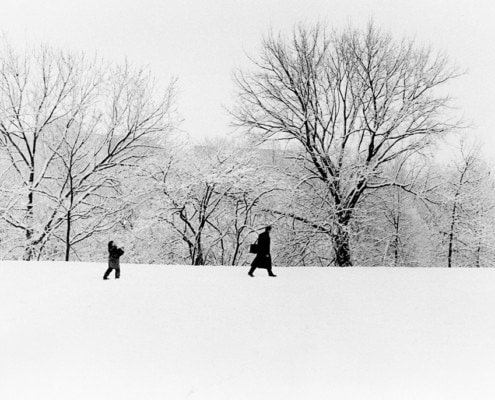 Boy throw snow ball in the air street photography decisive moment, black and white, film, after a snow storm, Washington DC, snow day, Washington DC Dogs running