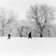 Boy throw snow ball in the air street photography decisive moment, black and white, film, after a snow storm, Washington DC, snow day, Washington DC Dogs running