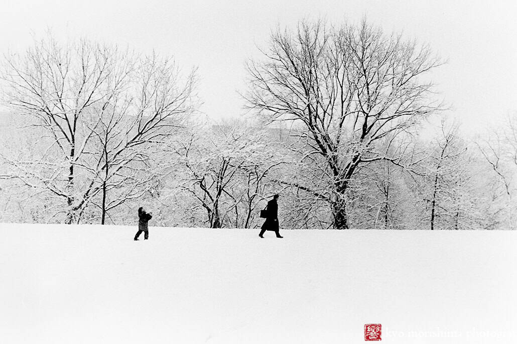 street photography decisive moment, black and white, film, snow day, Washington DC Dogs running