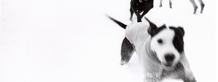 street photography decisive moment, black and white, film, snow day, Washington DC Dogs running